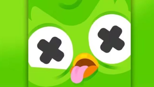 Duo Owl Duolingo meninggal, mengapa dia mati? - Berita Teknologi Menit Terakhir

